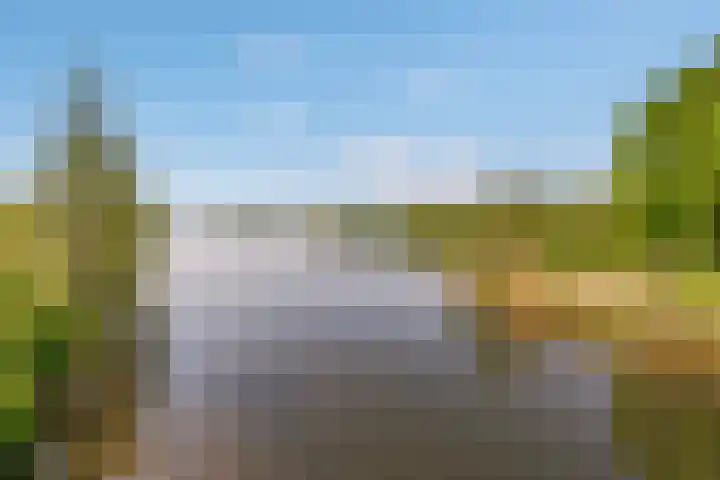 Fellinilaan 144 Almere thumbnail 49