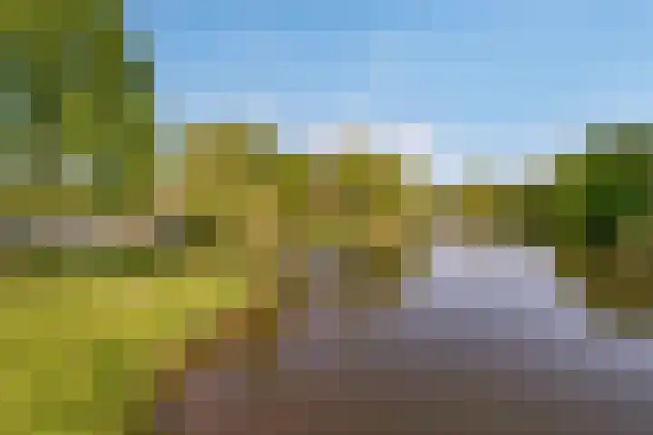 Fellinilaan 144 Almere thumbnail 51