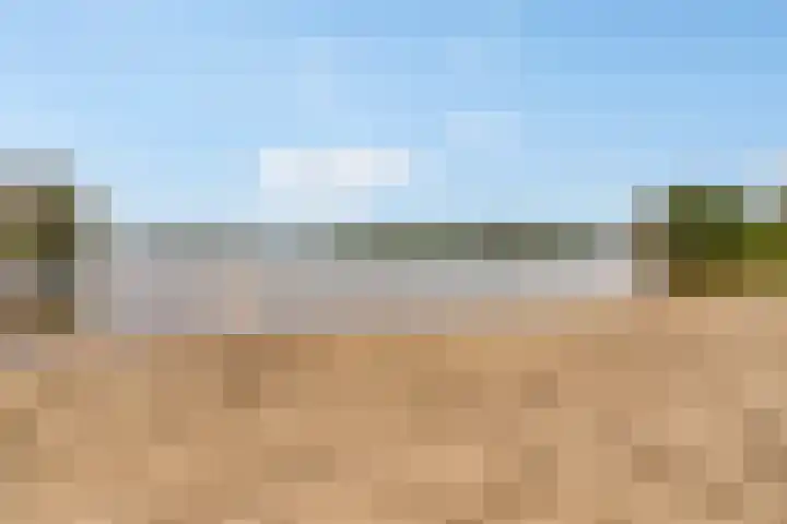 Fellinilaan 144 Almere thumbnail 52