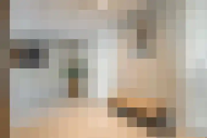 Fellinilaan 144 Almere thumbnail 8