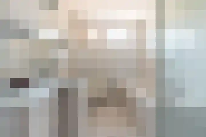 Fellinilaan 149 Almere thumbnail 17