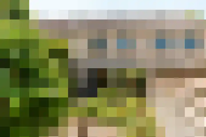 Fellinilaan 149 Almere thumbnail 22