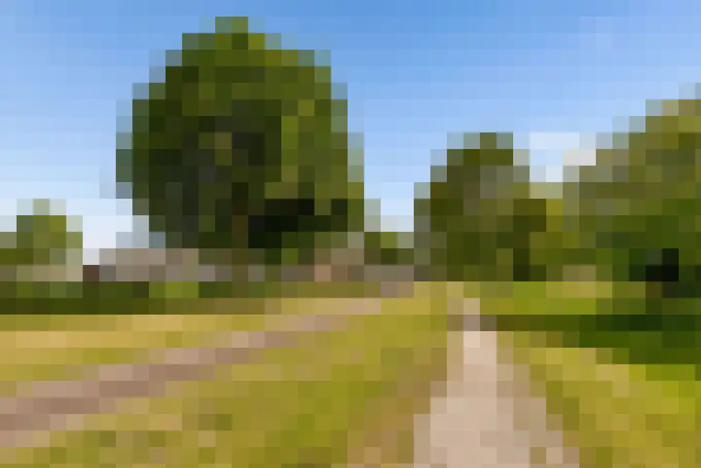 Fellinilaan 169 Almere thumbnail 43