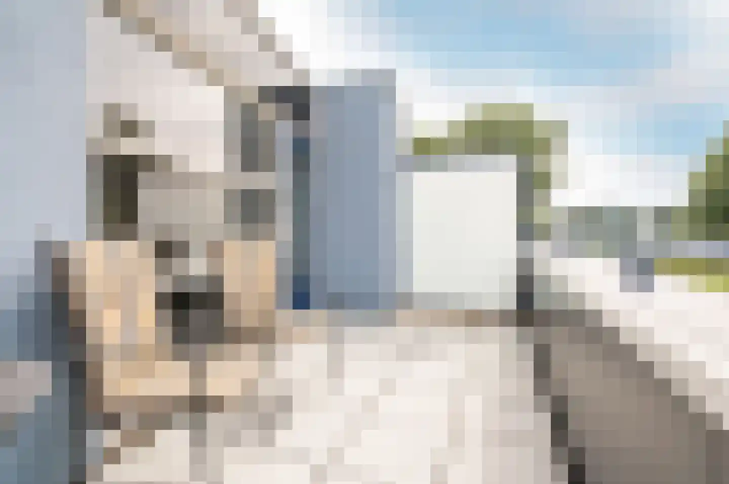 Fellinilaan 171 Almere thumbnail 6