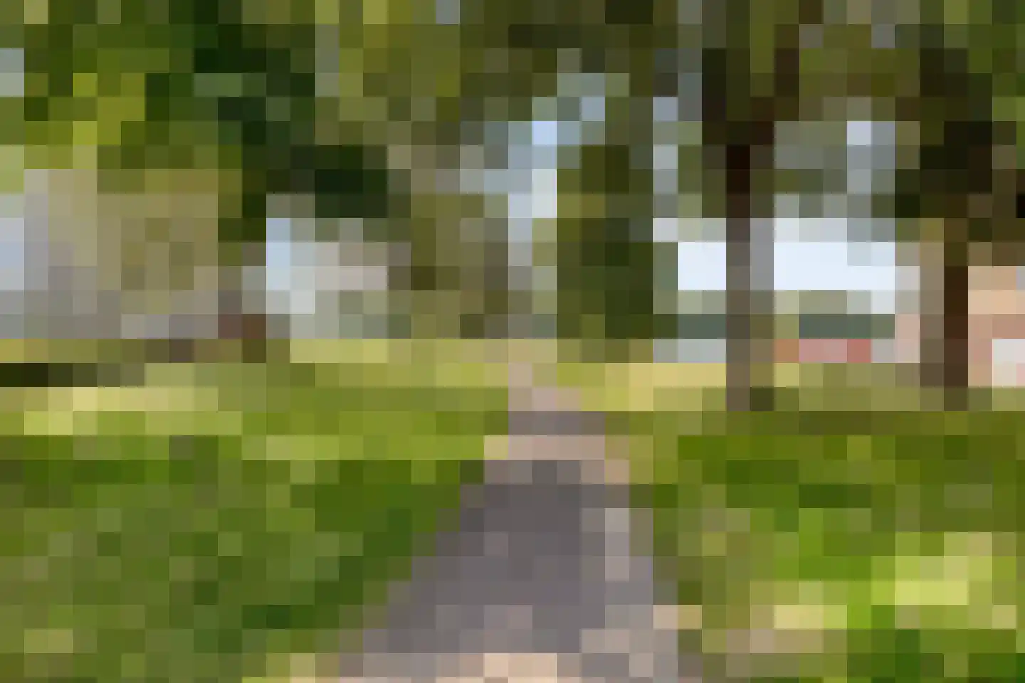 Fellinilaan 222 Almere thumbnail 39