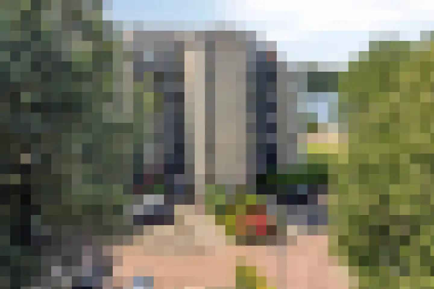 Fellinilaan 222 Almere thumbnail 6
