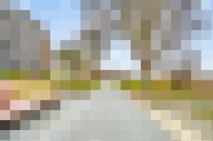 Fellinilaan 262 Almere thumbnail 33