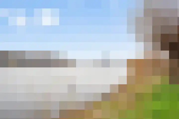 Fellinilaan 262 Almere thumbnail 35