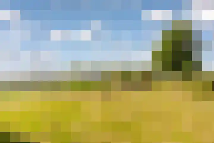 Fellinilaan 304 Almere thumbnail 15