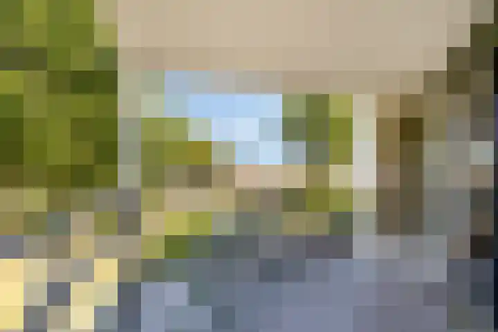 Fellinilaan 304 Almere thumbnail 16