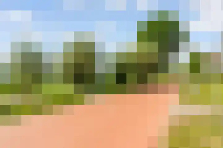 Fellinilaan 304 Almere thumbnail 36