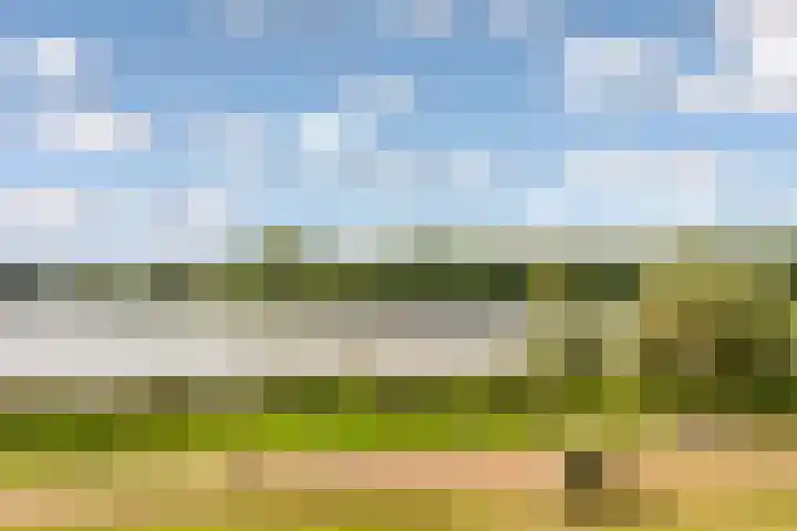 Fellinilaan 304 Almere thumbnail 37