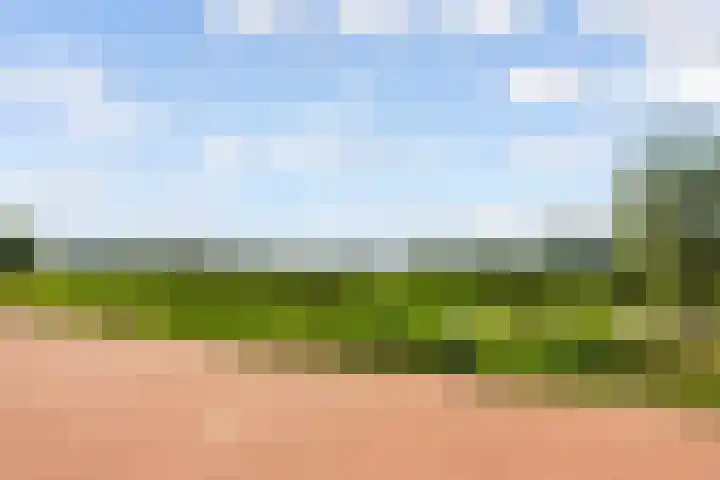 Fellinilaan 304 Almere thumbnail 38