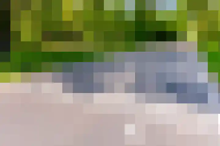 Fellinilaan 304 Almere thumbnail 39