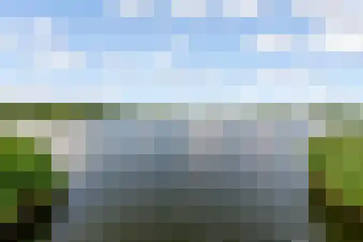 Fellinilaan 304 Almere thumbnail 40