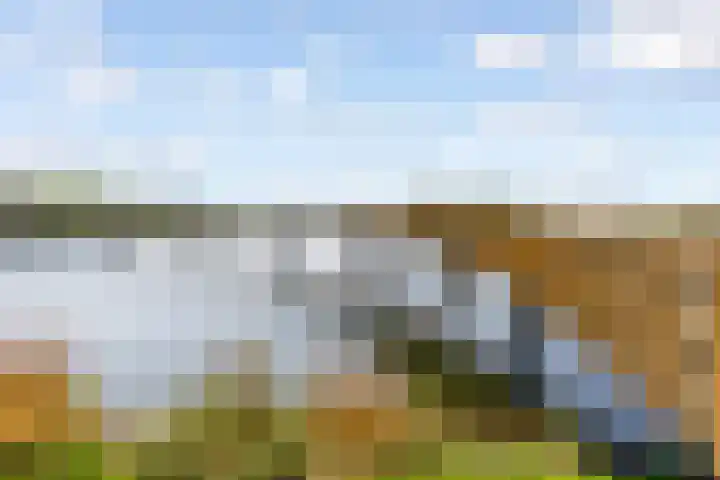 Fellinilaan 304 Almere thumbnail 43