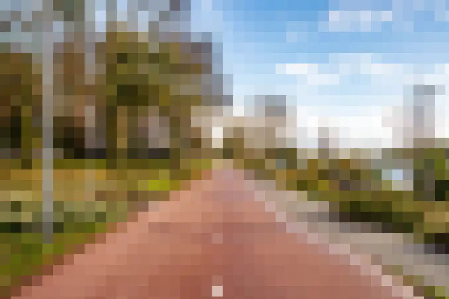 Fellinilaan 306 Almere thumbnail 42