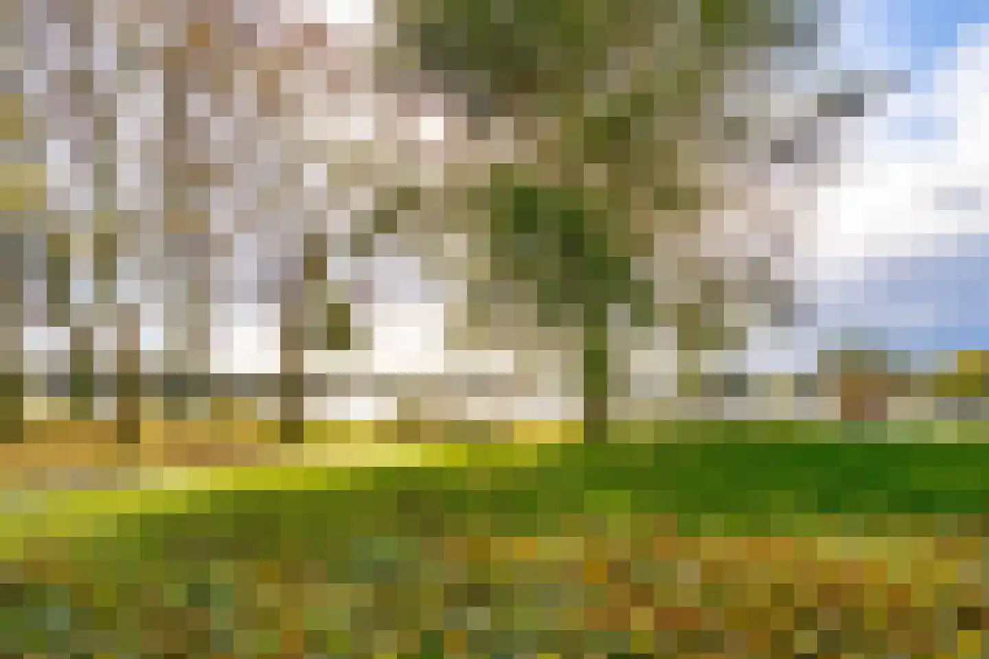 Fellinilaan 306 Almere thumbnail 43