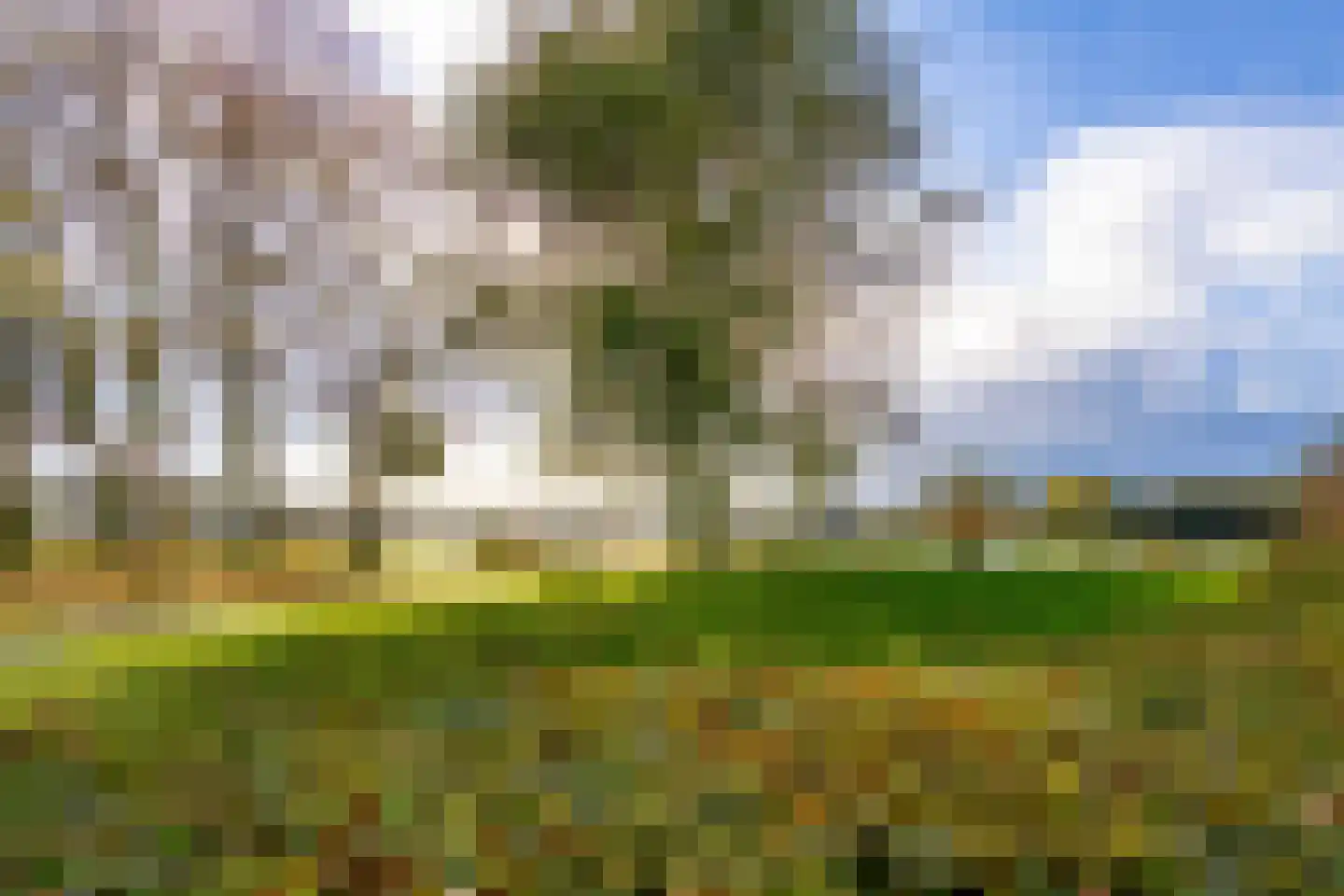 Fellinilaan 306 Almere thumbnail 45