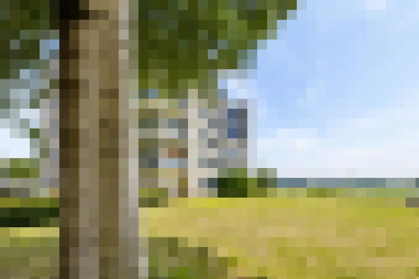 Fellinilaan 310 Almere thumbnail 51