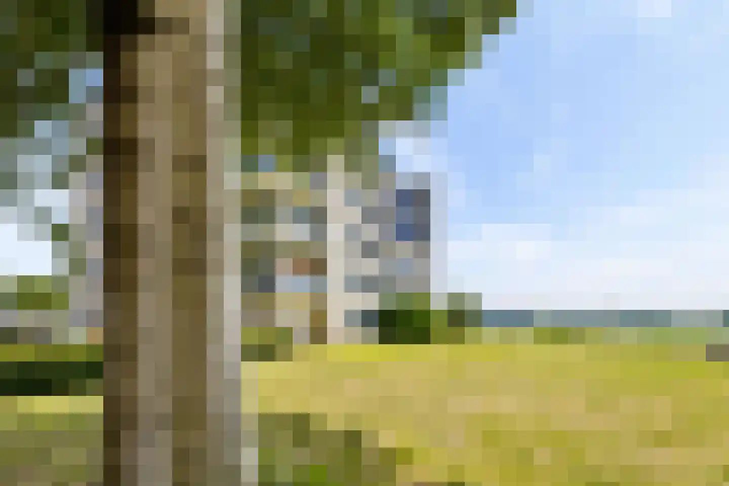 Fellinilaan 310 Almere thumbnail 51