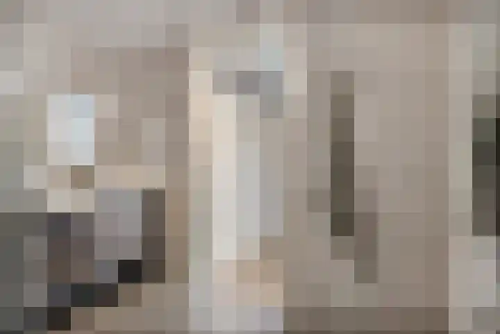 Fellinilaan 326 Almere thumbnail 35