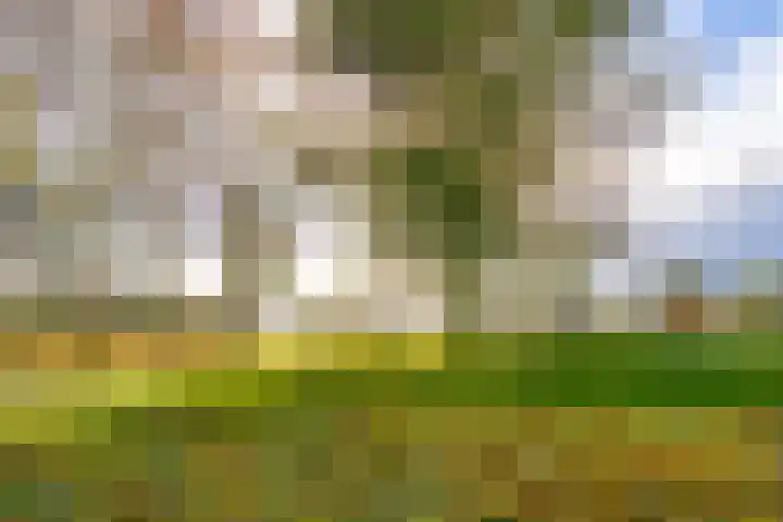 Fellinilaan 326 Almere thumbnail 36