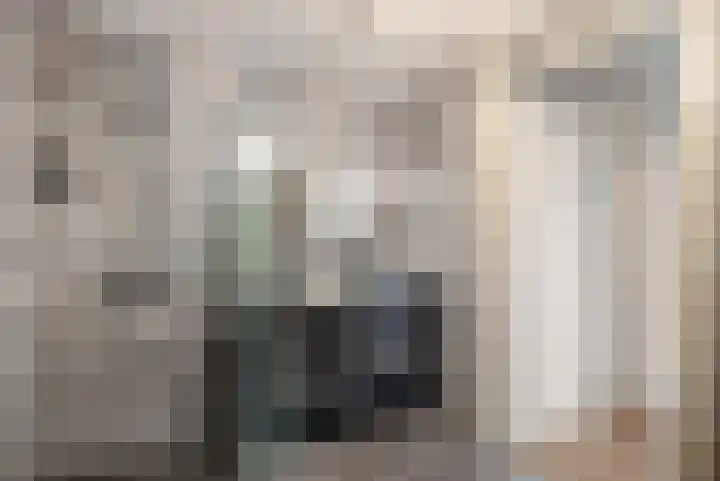 Fellinilaan 326 Almere thumbnail 4