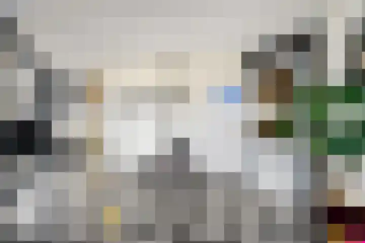 Fellinilaan 326 Almere thumbnail 9