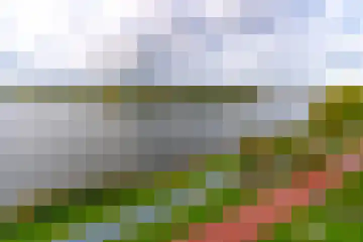 Fellinilaan 332 Almere thumbnail 41