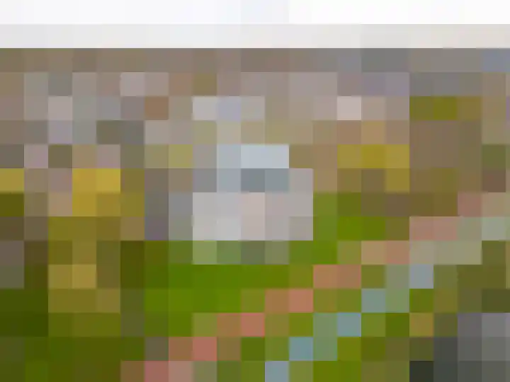 Fellinilaan 332 Almere thumbnail 48