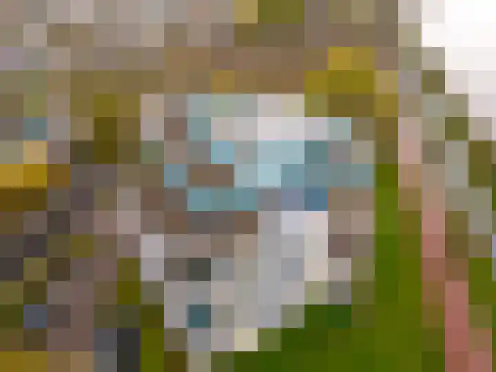 Fellinilaan 332 Almere thumbnail 49