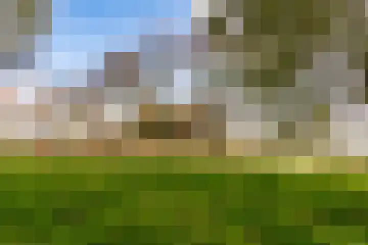 Fellinilaan 332 Almere thumbnail 54