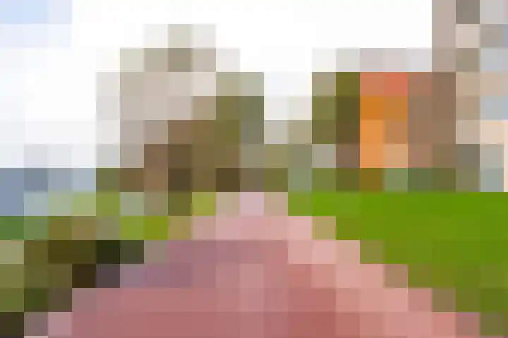 Fellinilaan 332 Almere thumbnail 55