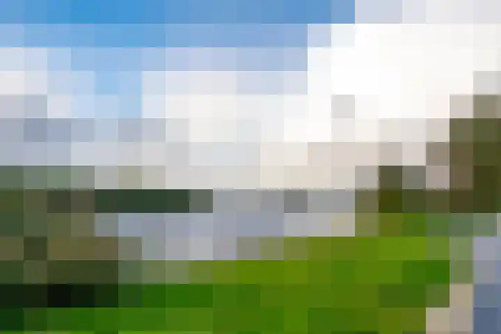 Fellinilaan 332 Almere thumbnail 57
