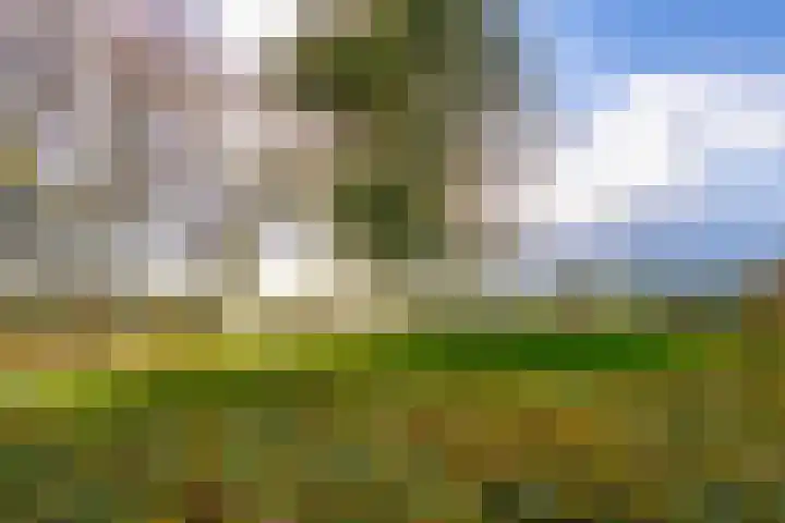 Fellinilaan 332 Almere thumbnail 58