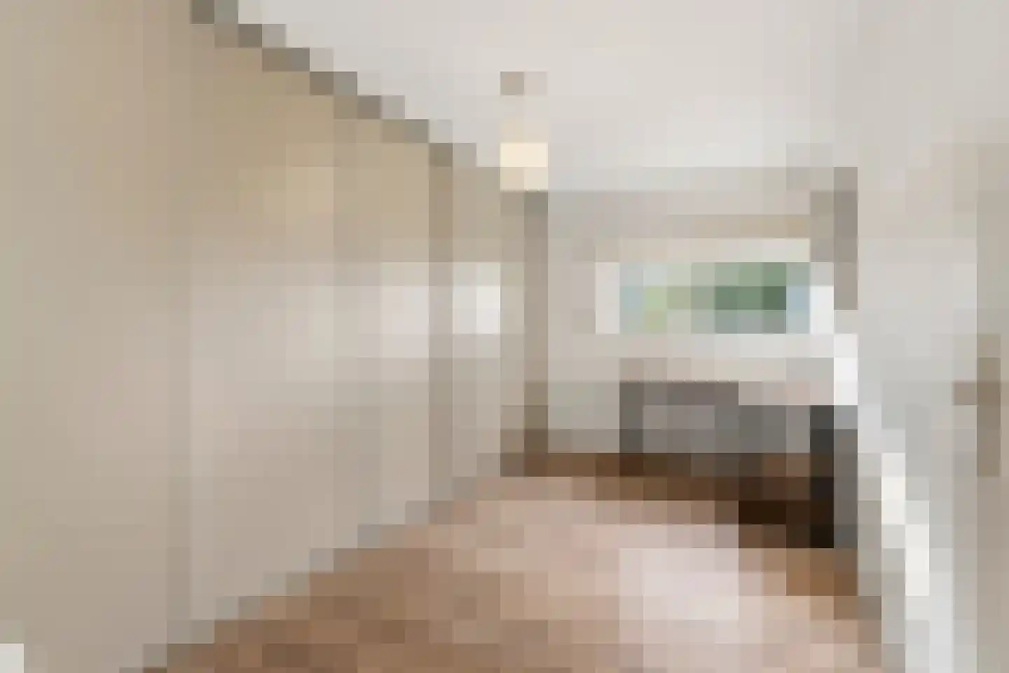 Fellinilaan 342 Almere thumbnail 26