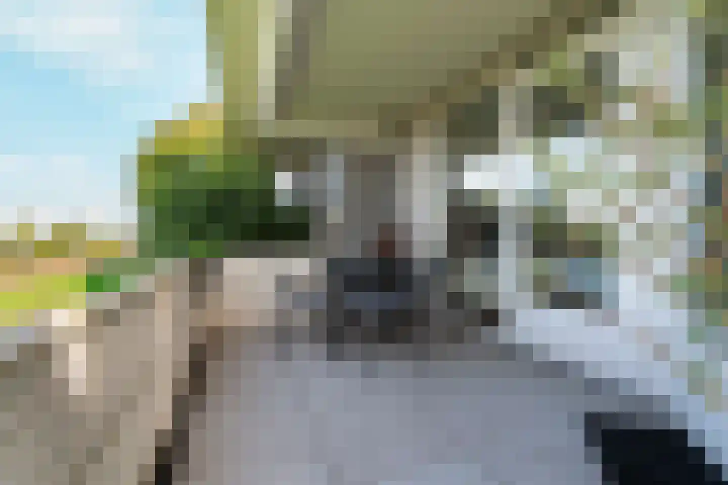Fellinilaan 342 Almere thumbnail 32