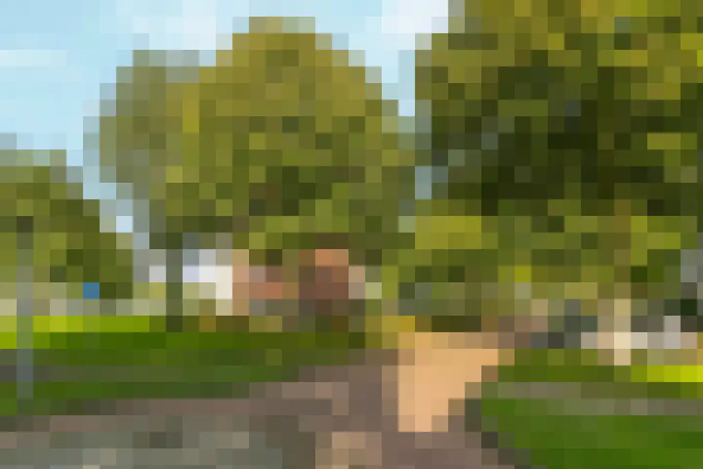 Fellinilaan 342 Almere thumbnail 43