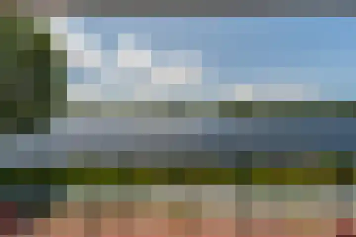 Fellinilaan 354 Almere thumbnail 14