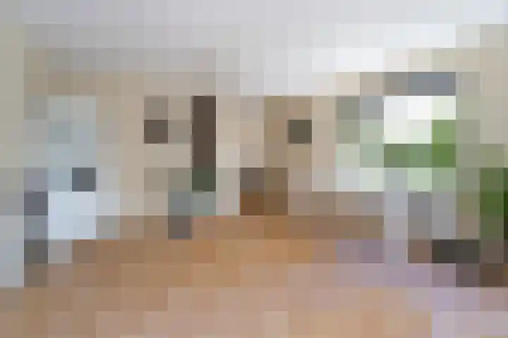 Fellinilaan 354 Almere thumbnail 20