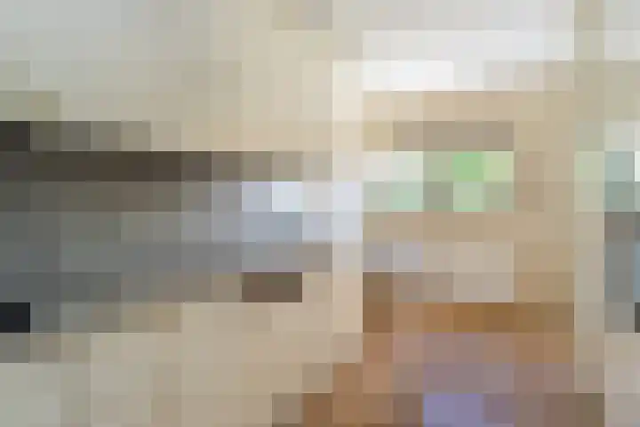 Fellinilaan 354 Almere thumbnail 22