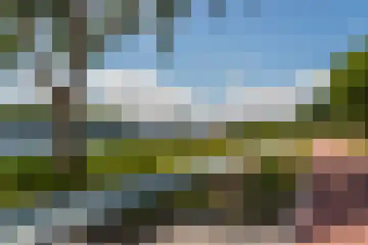 Fellinilaan 354 Almere thumbnail 31