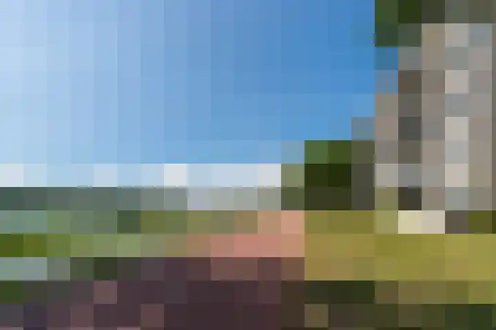 Fellinilaan 354 Almere thumbnail 4