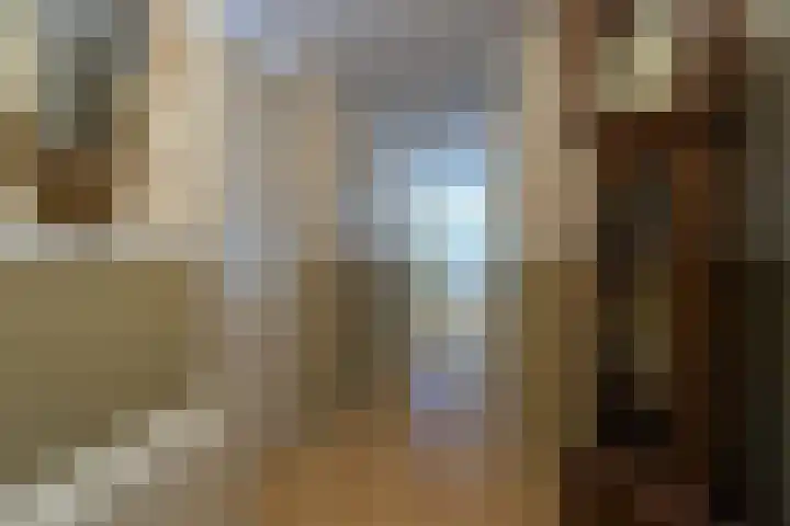 Fellinilaan 354 Almere thumbnail 8