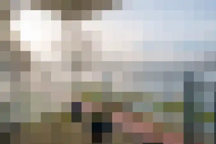 Fellinilaan 358 Almere thumbnail 24