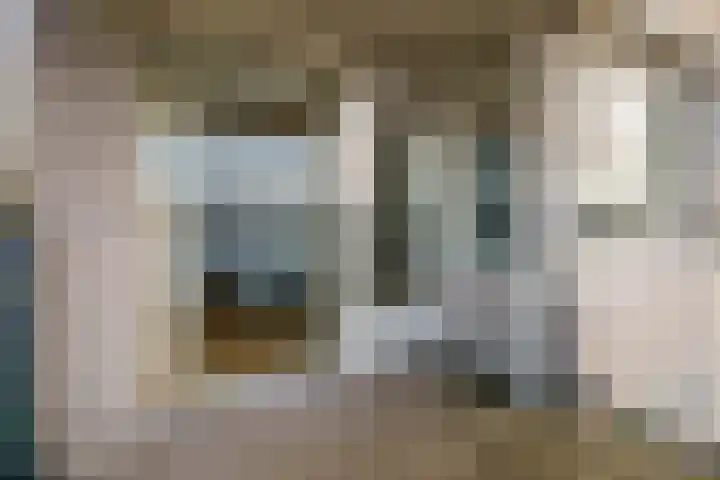 Fellinilaan 358 Almere thumbnail 25
