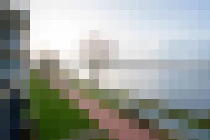 Fellinilaan 358 Almere thumbnail 26
