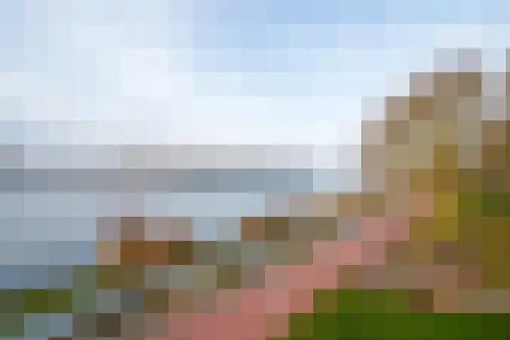 Fellinilaan 358 Almere thumbnail 28