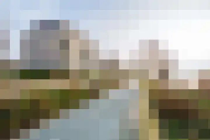 Fellinilaan 358 Almere thumbnail 44